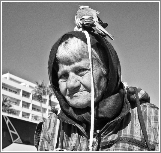 Larnakos senutė.2016